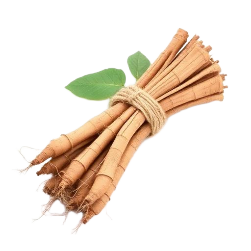 Brahmi